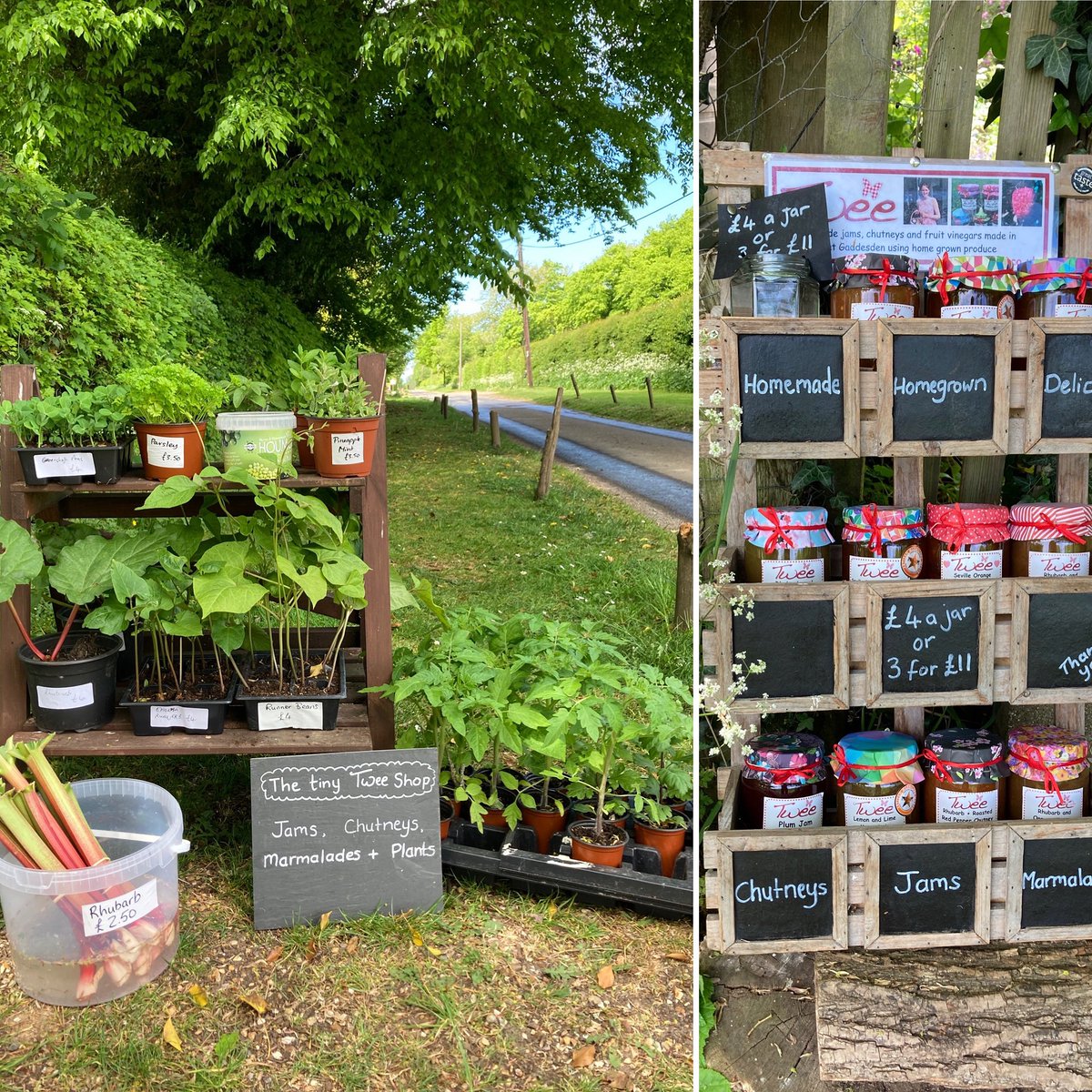 TweelifeUK's tweet photo. The Tiny Twee shop is bursting with goodies! 
Home grown veggies and herbs ready to plant, freshly picked rhubarb and jams, chutneys and marmalade. 
St Margarets finest shop! (It might also be the only shop!)  #growyourown #tinyshop #chilterns #shopsmall #shoplocal #gtgaddesden https://t.co/cRvvLZ70MW