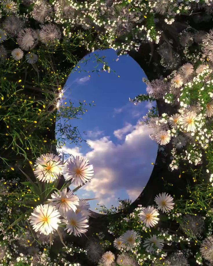 Nyao🎐 tweet media