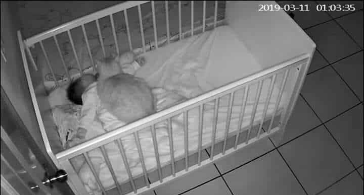 ZOO_FESS's tweet photo. zoo
👩🏼 dok kenapa anak saya tiap malem suka nangis ya
👨‍⚕️ dicek kesehatannya sih ga kenapa2 bu, coba pasang cctv... https://t.co/d4TkYaCs4A