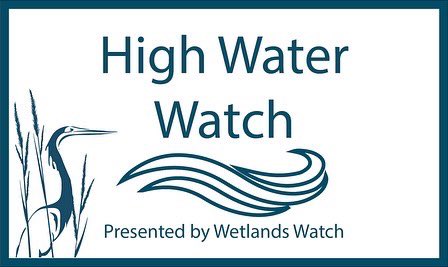 Wetlands Watch tweet media