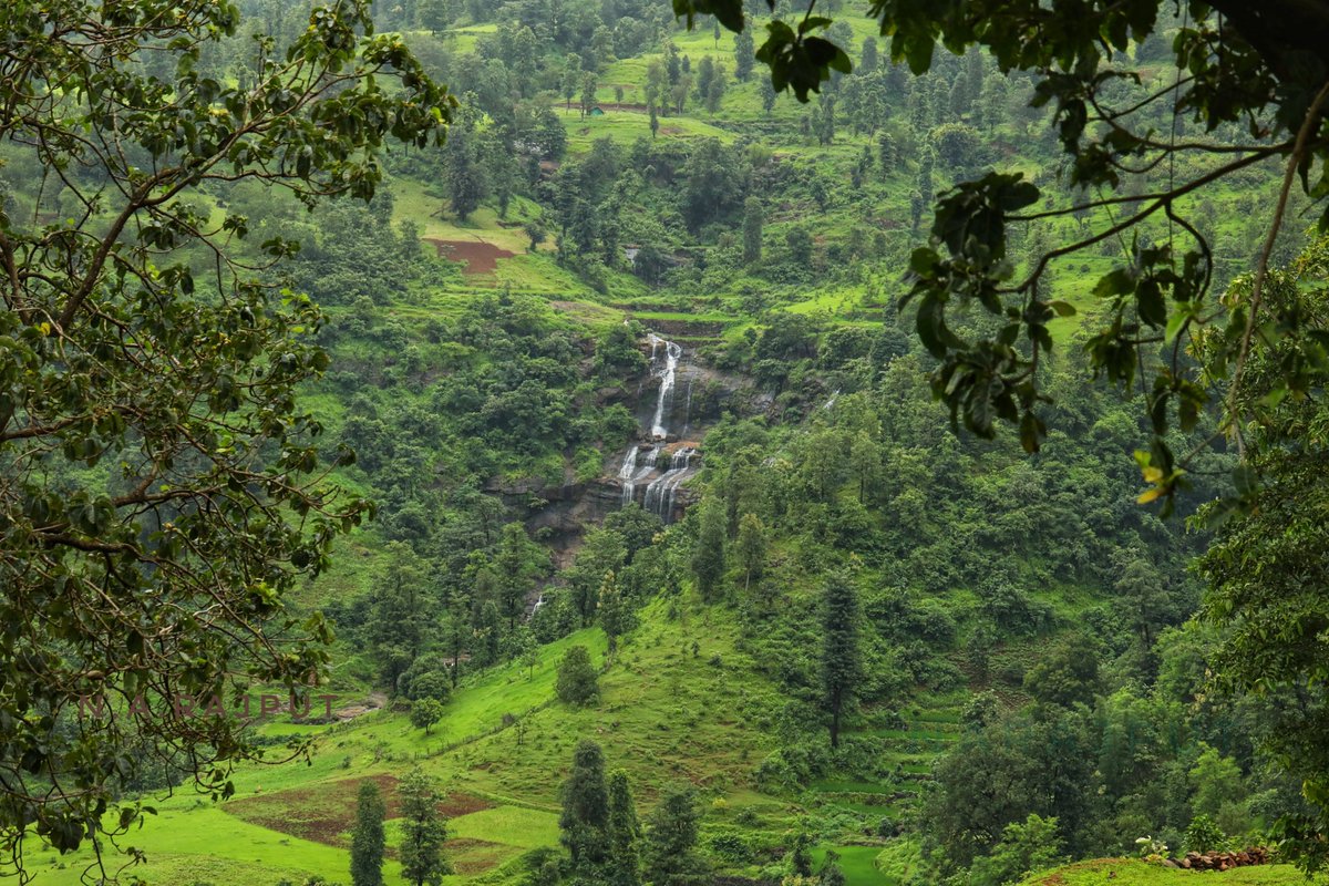 Collector Valsad tweet media