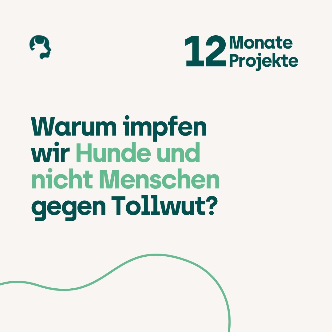 ToGeV's tweet photo. Wir werden immer wieder gefragt: Warum versucht ihr humane TollwutfĂ€lle ĂŒber die Impfung von Hunden zu verhindern?
Zum Artikel: https://t.co/AGUYGaLm45
#vsfg #12Monate12Projekte #impfen #tollwut #rabies #endrabiesnow #zeroby30 #tierÀrzte #tierÀrzteohnegrenzen #togev #vsfg https://t.co/L4gOrp9OXI
