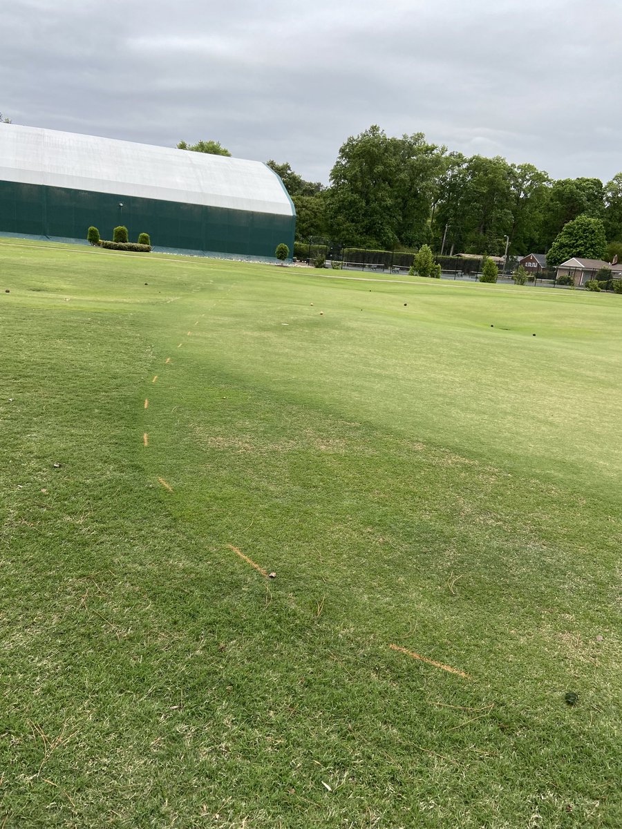If you can still see the paint lines after 10 day, Poa is the only thing growing.