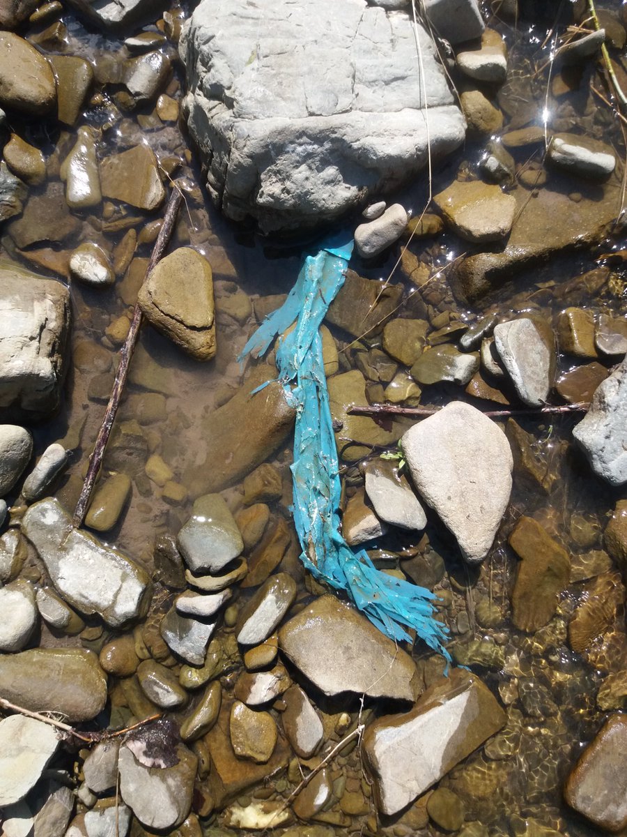 Maciej Liro tweet media