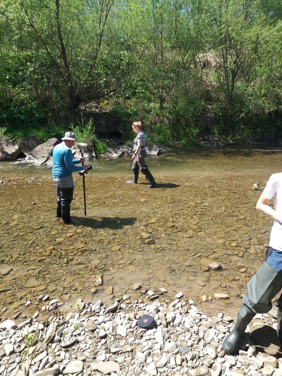 Maciej Liro tweet media