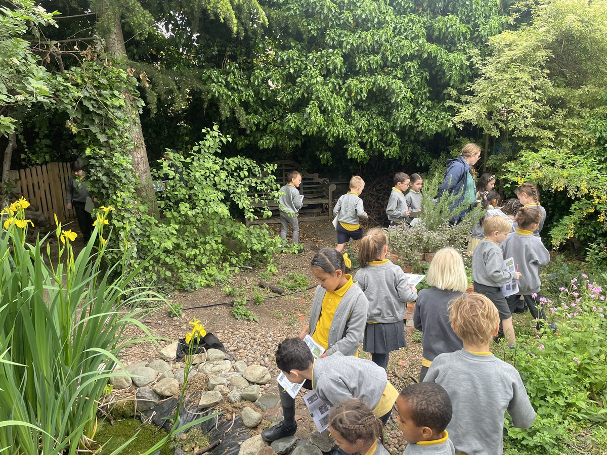 mr_heming's tweet photo. Thank you @ConnieBOReay for teaching us all about the different wild flowers that we can find in the @ReayPrimary garden #outdoorlearning #naturalthinkers #science #plants 🌱 https://t.co/KJNQCbA28x
