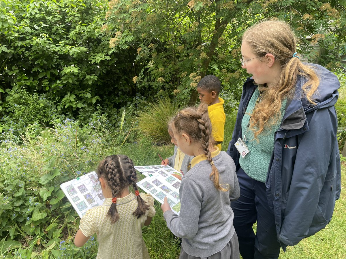 mr_heming's tweet photo. Thank you @ConnieBOReay for teaching us all about the different wild flowers that we can find in the @ReayPrimary garden #outdoorlearning #naturalthinkers #science #plants 🌱 https://t.co/KJNQCbA28x