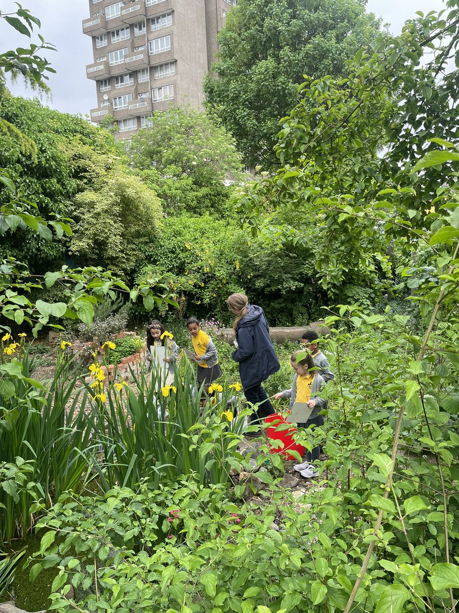 mr_heming's tweet photo. Thank you @ConnieBOReay for teaching us all about the different wild flowers that we can find in the @ReayPrimary garden #outdoorlearning #naturalthinkers #science #plants 🌱 https://t.co/KJNQCbA28x