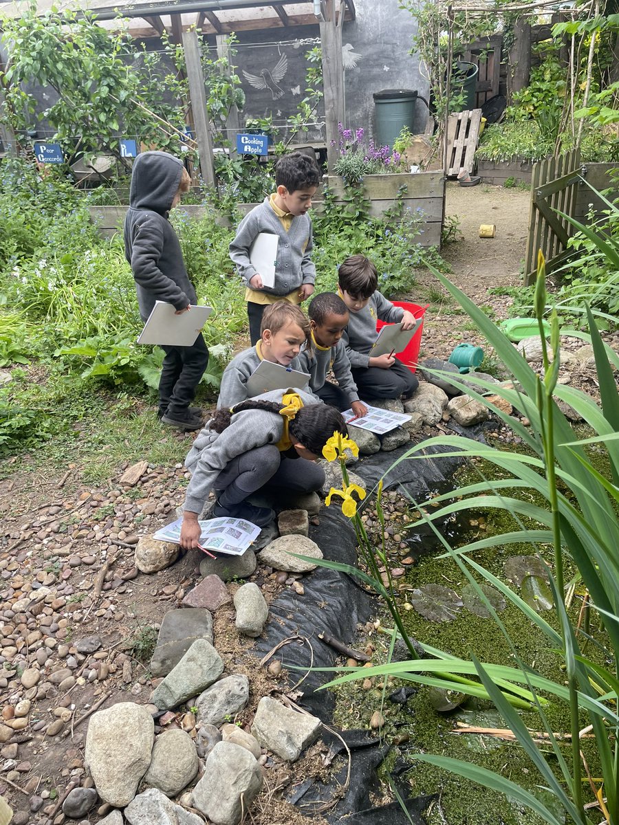 mr_heming's tweet photo. Thank you @ConnieBOReay for teaching us all about the different wild flowers that we can find in the @ReayPrimary garden #outdoorlearning #naturalthinkers #science #plants 🌱 https://t.co/KJNQCbA28x