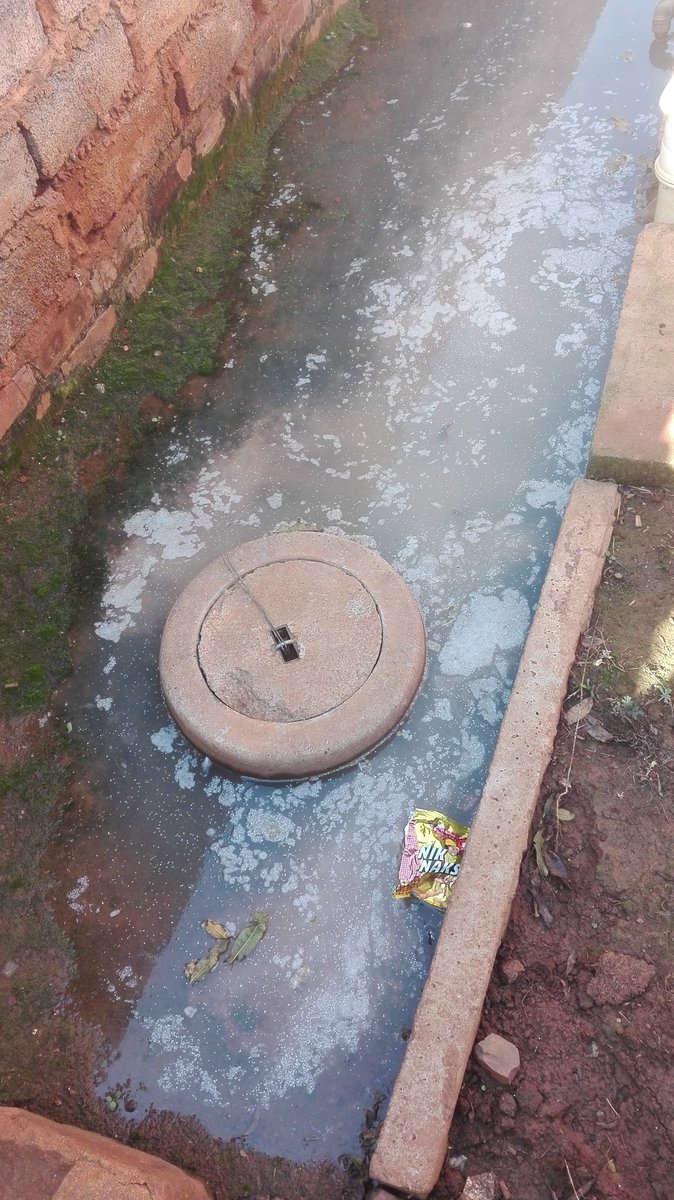 Naomy_M1's tweet photo. @CityTshwane  people are living in shit since 3 May they've been calling for help but dololo this is Nelmapius Ext 24 #DA ke masepa xem #TshwaneMunicipality https://t.co/iDEDipvLsW