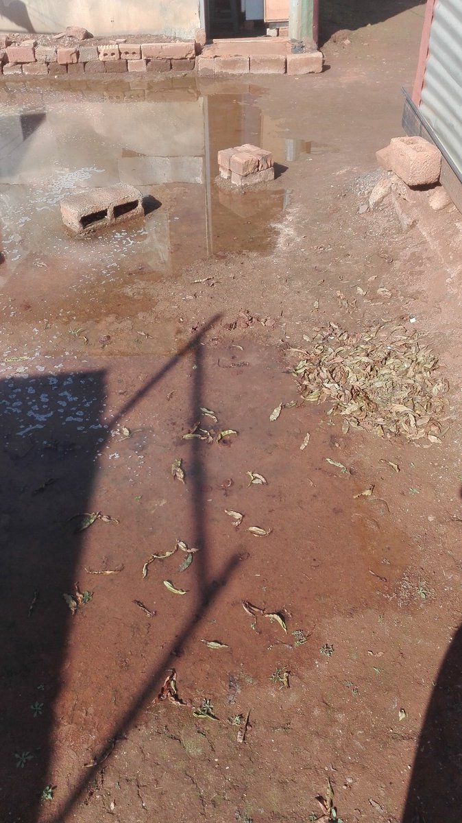 Naomy_M1's tweet photo. @CityTshwane  people are living in shit since 3 May they've been calling for help but dololo this is Nelmapius Ext 24 #DA ke masepa xem #TshwaneMunicipality https://t.co/iDEDipvLsW