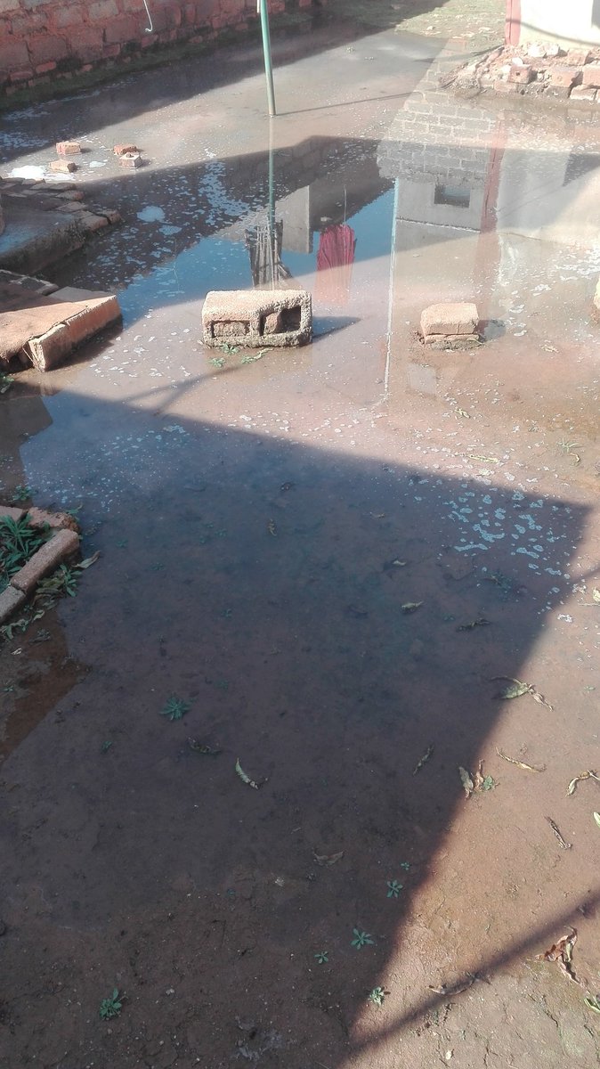 Naomy_M1's tweet photo. @CityTshwane  people are living in shit since 3 May they've been calling for help but dololo this is Nelmapius Ext 24 #DA ke masepa xem #TshwaneMunicipality https://t.co/iDEDipvLsW