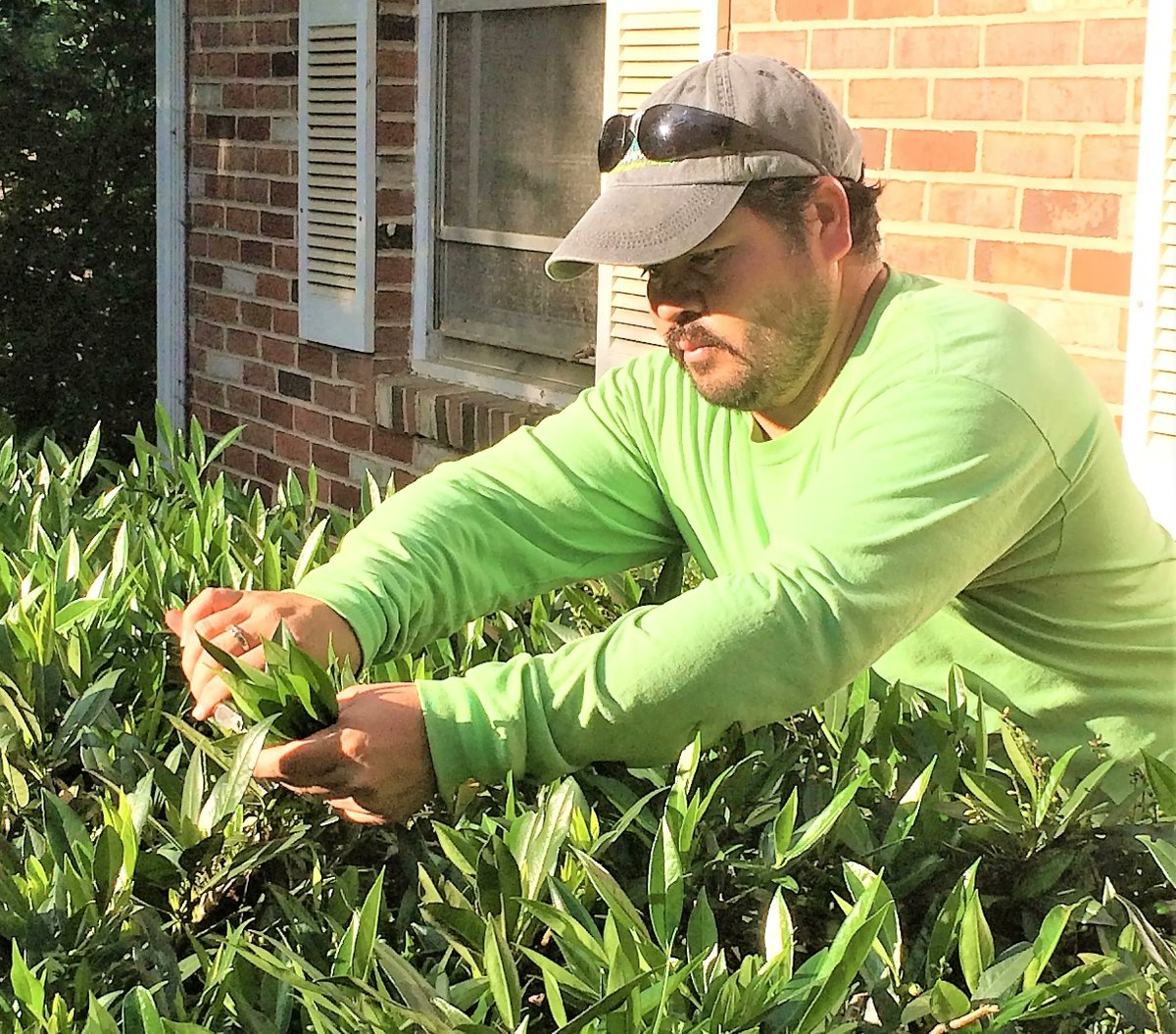 allentucklandsc's tweet photo. Prunning and feeling good! We hope everyone has a very productive Tuesday! 😊
#prunning #maintenance #landscape #landscapedesign https://t.co/ZoKsyCb97N