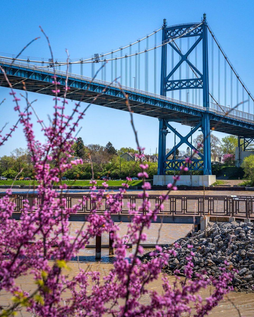 Spring is in full bloom. 🌸

Photos by Doug Hinebaugh