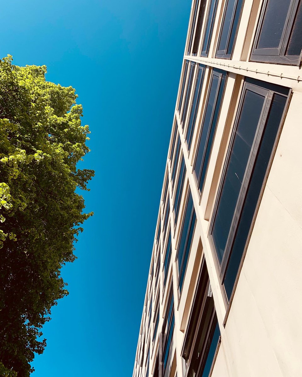 Byron Lab tweet media