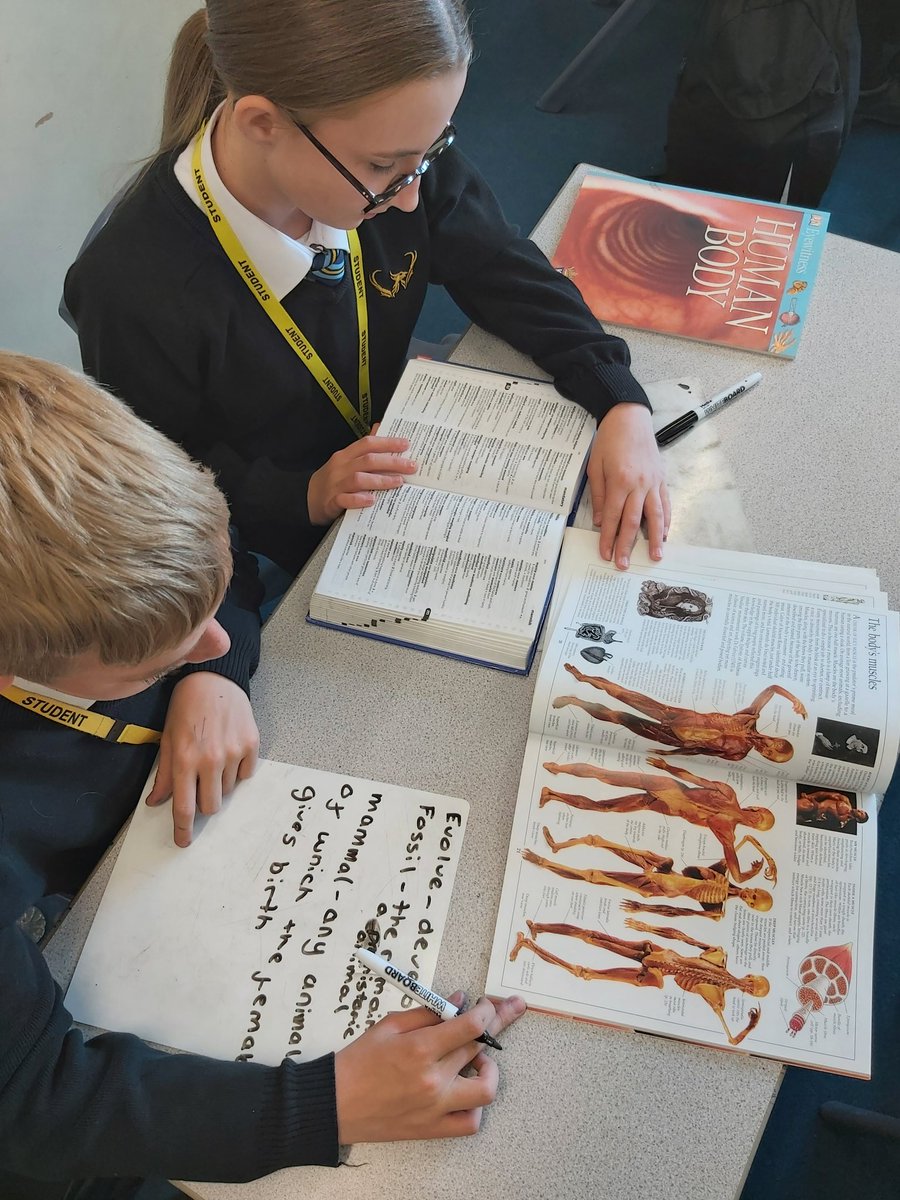 WingfieldSci's tweet photo. Promoting a love of reading in Science with Y8. https://t.co/7JziFjd94S