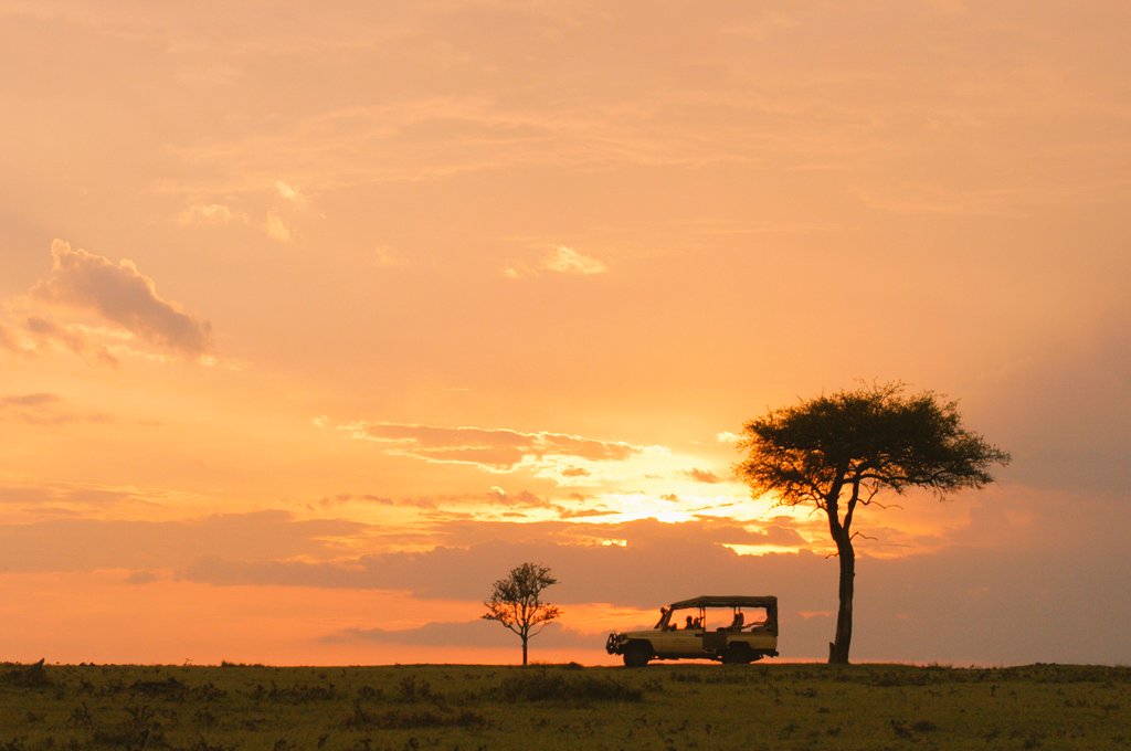 BontelSafaris's tweet photo. Its almost here🤗The Wildebeest Migration😍Book your slot today and together Let's go Witness the 7th wonders of the World🤗
Contacts:+254718394456/+25473910503
#magicalkenya #TembeaKenya #LetsGoAdventure #KenyaKwetu  #BontelAdventures #wildlife #wildebeestmigration https://t.co/vcQqNCncLN