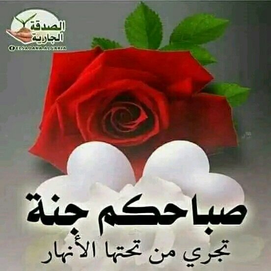 AlhamSnt's tweet photo. مرحبا بالجميع هون https://t.co/GmgQFyFprl