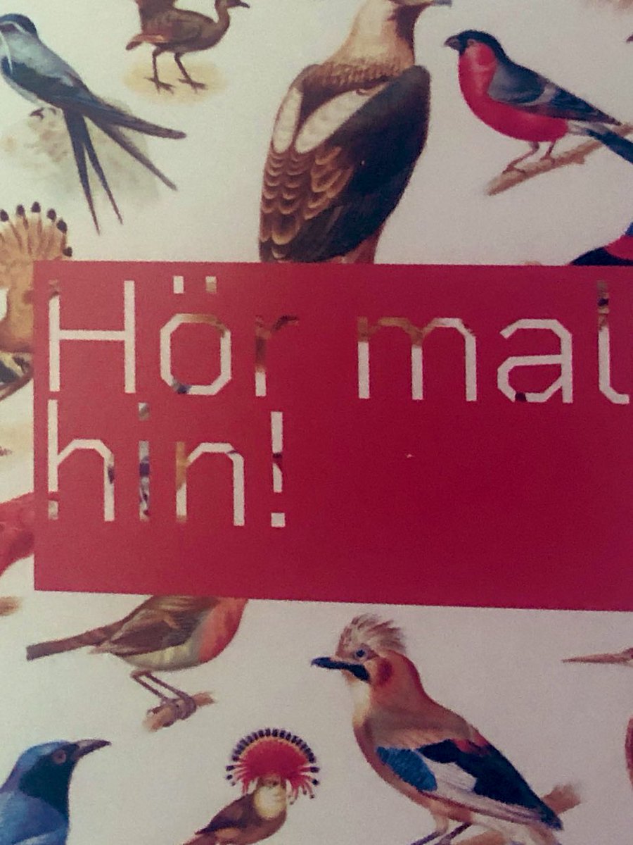 diestreibl's tweet photo. Ich frage mich: wenn man die Natur mit den Ohren erkundet, fühlt man sich dieser mehr verbunden? Und führt diese Verbundenheit zu einem respektvollen Umgang? #naturschutz  #biodiversität #hören #lauschen #hinhören #umweltschutz https://t.co/USbcklOsDT