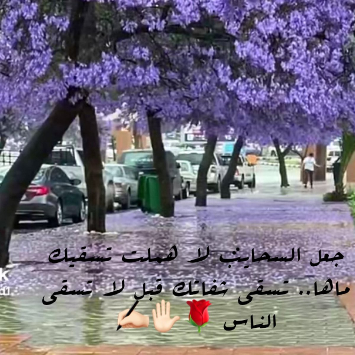 #TextArabic