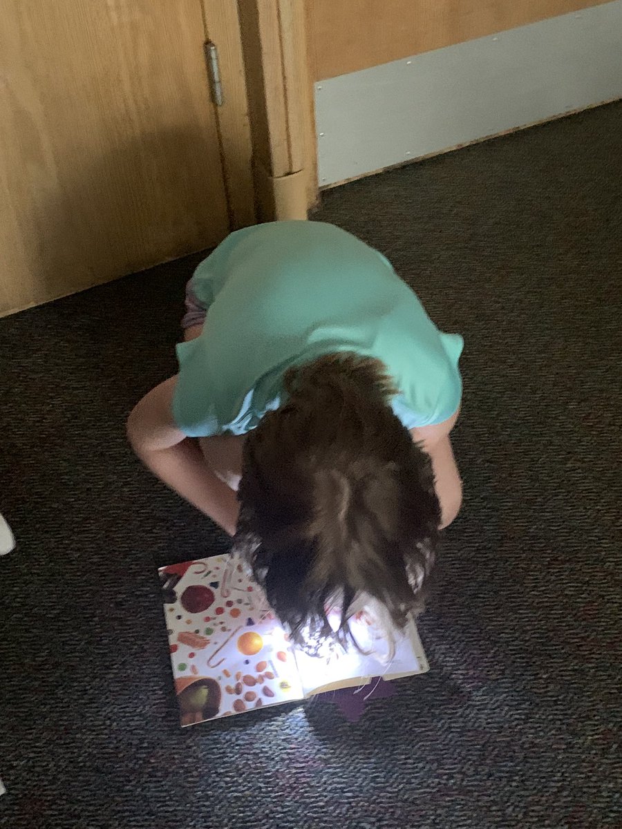 Ashley Sargent tweet media