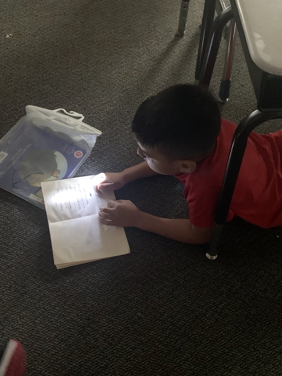 Ashley Sargent tweet media