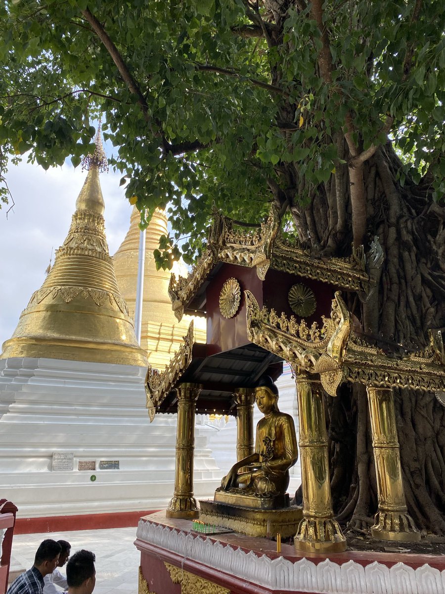 neha_singh_16's tweet photo. May we awaken the inner Buddha and take proactive steps in time to save soil and all life on our beautiful planet (#Shwedagon Pagoda @ Yangon) 🌱💚🌱🌸🌱 #SaveSoil #SaveSoilMovement #SaveSoilAtCOP15 #ConsciousPlanet @SadhguruJV @cpsavesoil https://t.co/1n75xmd7oW