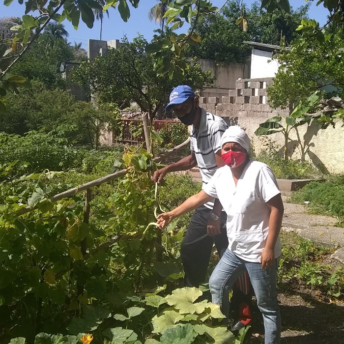 ciespiguita's tweet photo. Los trabajadores del centro participan en el autoconsumo para los niños y trabajadores garantizando la soberanía alimentaria. 
@RaulSamon @FundichelyRosa @dmesantiago2019 @ManceboCarmen1 @CubaMined @NiurdisReyes #LaPrimeraInfanciaSíImporta https://t.co/ljnmZzJZ6u