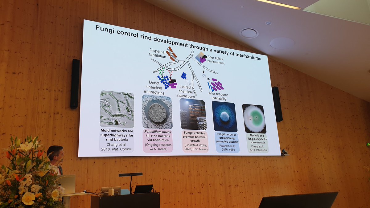 Herwig Bachmann (@herwigbachmann) on Twitter photo Today we saw many great talks on microbial interactions at #microbialfoods by <a href="/LupoLabs/">Benjamin Wolfe</a> <a href="/racheljdutton/">Rachel J Dutton</a> <a href="/kiran_r_patil/">Kiran Raosaheb Patil</a> Matthias Hülsmann and others. Today we saw many great talks on microbial interactions at #microbialfoods by <a href="/LupoLabs/">Benjamin Wolfe</a> <a href="/racheljdutton/">Rachel J Dutton</a> <a href="/kiran_r_patil/">Kiran Raosaheb Patil</a> Matthias Hülsmann and others.