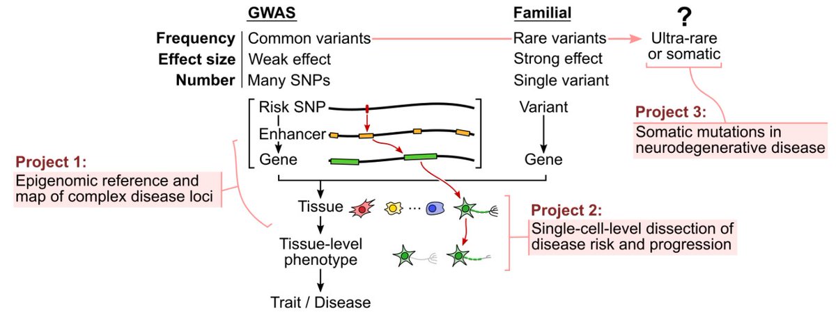 manoliskellis's tweet photo. Very excited for Carles Boix #ThesisDefense at 10am today on #SingleCell #Mosaicism #Brain #Alzheimers #Epigenomics Join us!
With @MITCSBPhD @MIT_CSAIL @BroadInstitute @MIT @MIT_Picower @MITEECS @DrLiHueiTsai @Peter_J_Park @YoungRickA #PReddien #ChrisBurge
Then off to @CSH #BoG22 https://t.co/0lDxaVyUhX