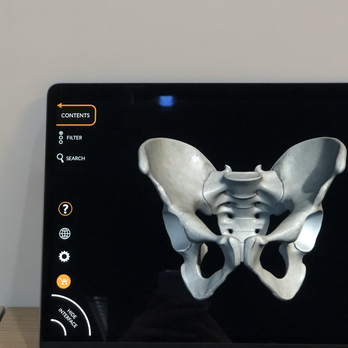 oikinawa_'s tweet image. exam szn... 🫠 
[ #studytwt #studyspo ]