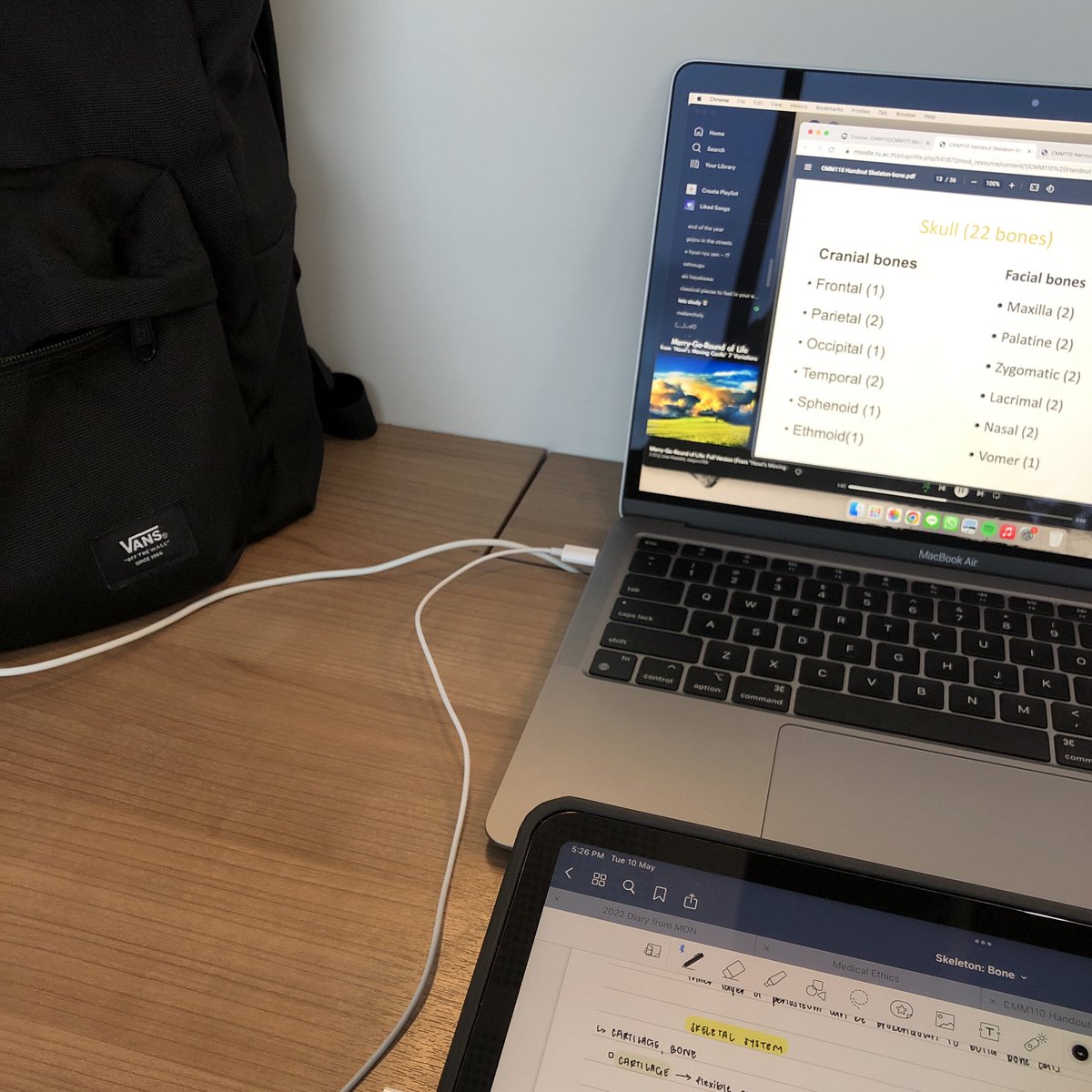 oikinawa_'s tweet image. exam szn... 🫠 
[ #studytwt #studyspo ]