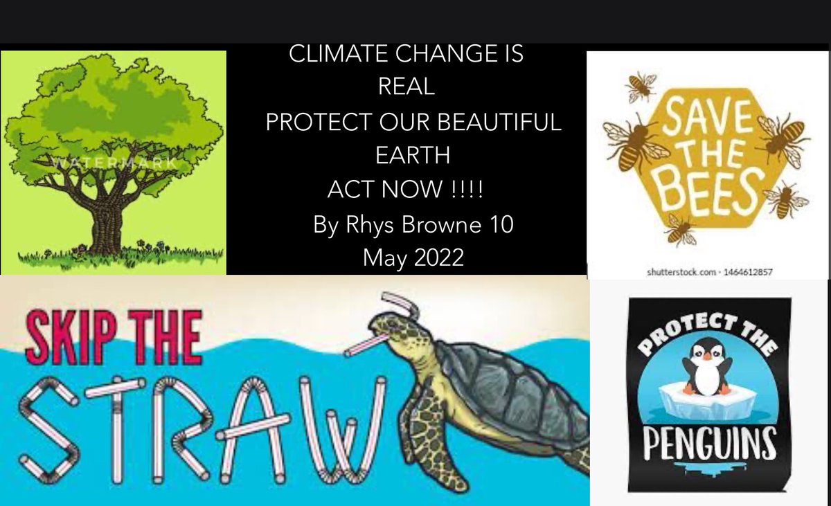 ColaisteB's tweet photo. Winners of our Digital Poster Competition in a bid to cut down on paper use! Well done to all involved ππΌβ»οΈπ³π #etb_sdgs #ETBMayDay22 #CSPE #DigitalPosterCompetition https://t.co/hrjS2xT6Jv