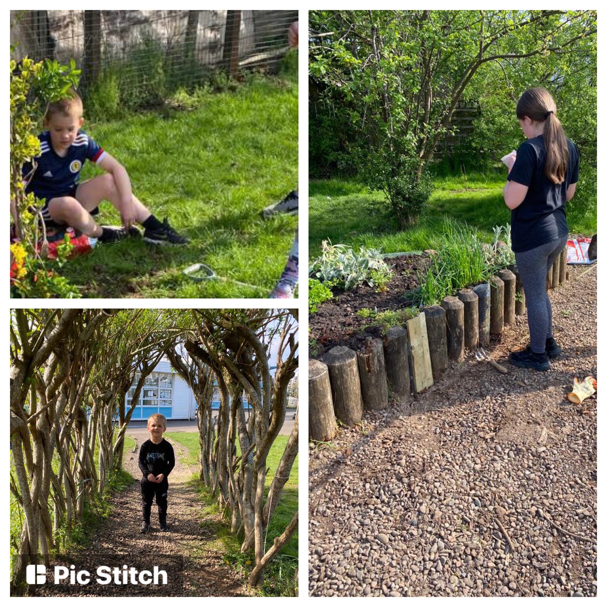 MacClare4's tweet photo. @KirkhillPS K, M &amp; K, soon to be P1, took great pride along with friends &amp; parents helping to tidy the science garden over the weekend. There was digging, planting, weeding, cutting &amp; lots of wheelbarrow runs for the bark! Well done to all, fab effort 👏#kpsgardening #proudkps https://t.co/XtGZRDlALI