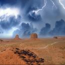 Cont_Interbeing's tweet image. I don’t know what the future will be, but I absolutely know that joy and the things that give us joy in this world, especially the natural world, are essential for everything.
—Dara McAnulty
#EncounterDiscoverCreateTransform Tuesday
Inspiration: zpr.io/H6YTbuSC2F62