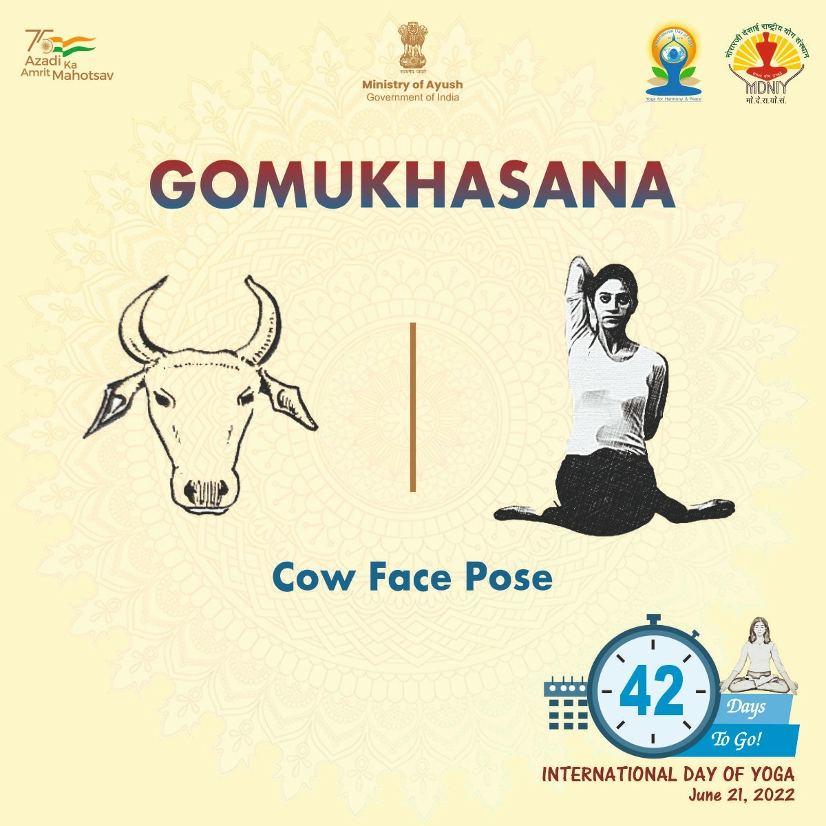 mdniy's tweet photo. Gomukhasana: Animal-inspired Yoga pose!

#Yogotsav2022 #IDY2022 #InternationalDayofYoga2022 #Yoga #MDNIY #YogaUtsav https://t.co/TagTry7Lsw
