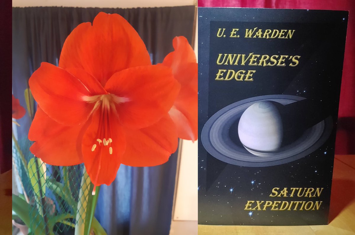 Universes_Edge_'s tweet photo. Universe's Edge Saturn Expedition a blooming #scifi 
Friesenpress
https://t.co/LVKqB4Cebr
Kobo https://t.co/ND9hwZfc3E
Kindle https://t.co/uL5fQV7euH
Apple
https://t.co/lZ34eeiNZe
Google play https://t.co/vxjJGSkopA
Nook
https://t.co/nGEPQkS3Aj https://t.co/GDhXrpalIL