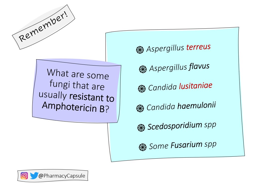 PharmacyCapsule's tweet photo. Resistant to Amphotericin B? https://t.co/bRhqjTh9FB