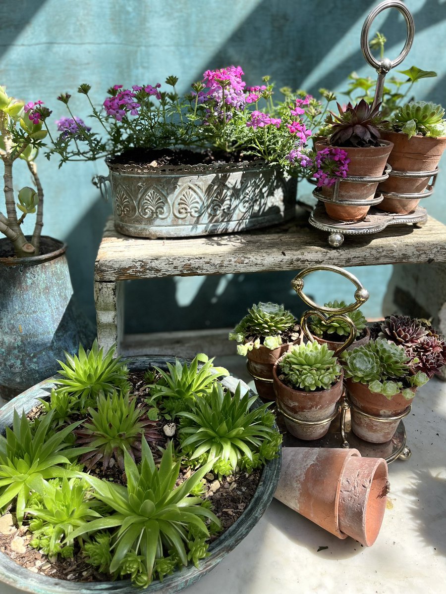 Garden Brocante tweet media