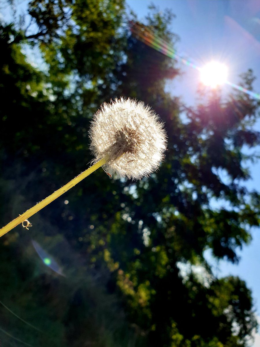 Mister-K tweet media