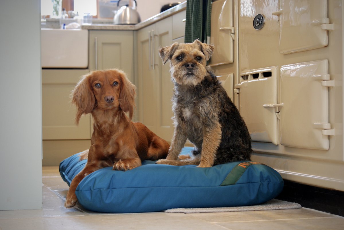 tuffiesdogbeds's tweet image. Easy-to-clean durable dog beds to be used on their own or with one of our optional dog bed covers.
tuffies.co.uk/item/16/Dog-Ma… 
#tuffies #tuffiesdogbeds #dogbeds #bestdogbeds #waterproofdogbeds #madeinscotland