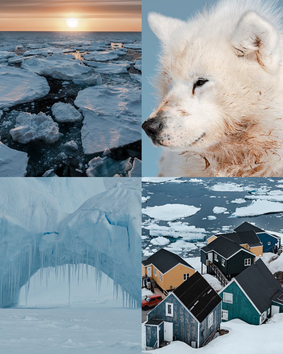 Hi twitter 🧊🥶❄️ been a minute. I’ve been sailing in GREENLAND. a few quick impressions of my dreamland.