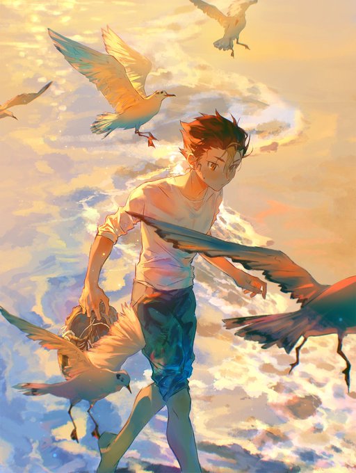 「seagull」 illustration images(Popular)