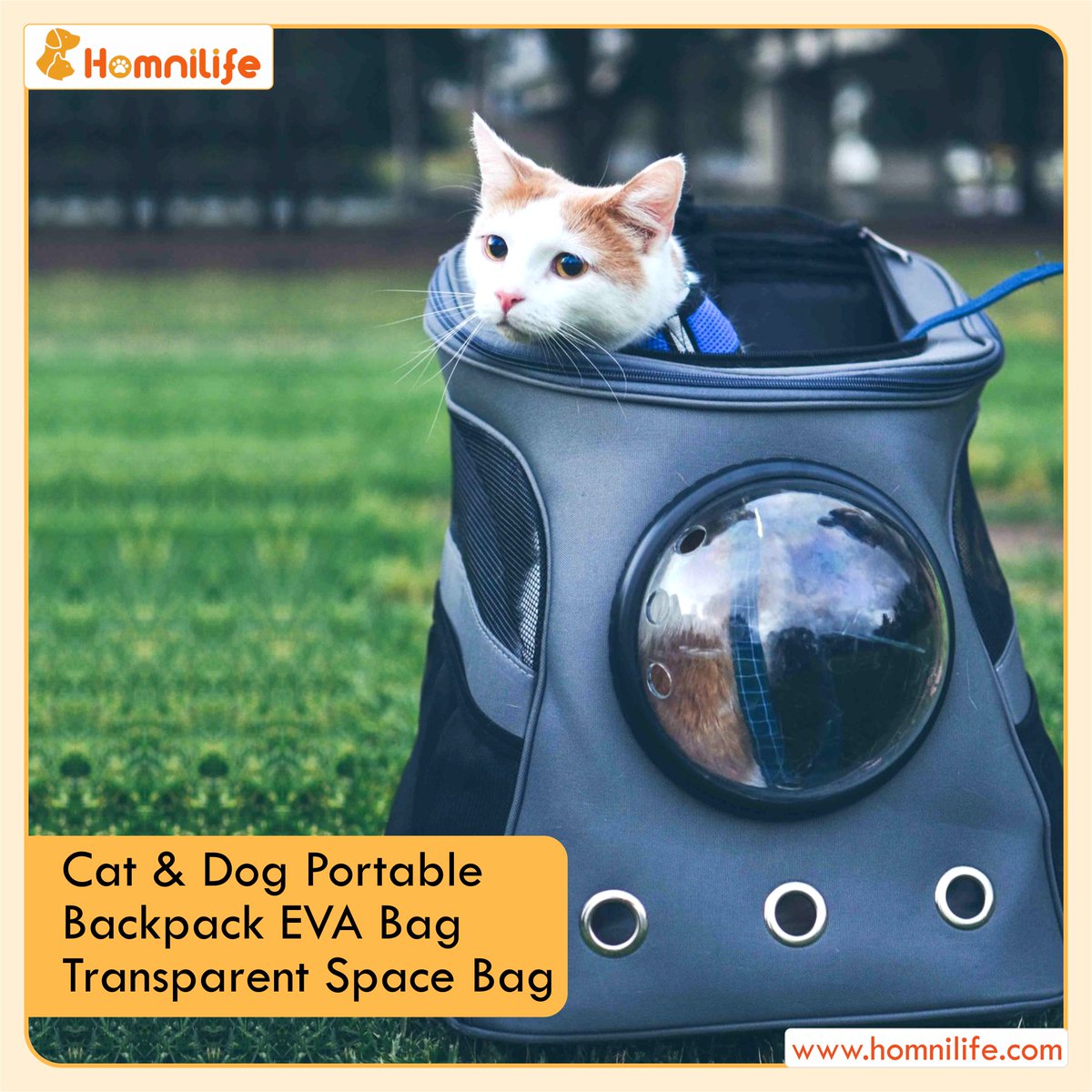 Homnilife_US's tweet photo. As every #catowner knows, not anybody can own a #cat, then why left her alone at home?

Take her out with #TransparentSpaceBag by Homnilife!

#catlove #catlife #animallover #cutecat #catfun #catmedical #cataccessories #catbag #catportablebag #catbagpack #catlife #homnilife https://t.co/Za2WUzHRvQ