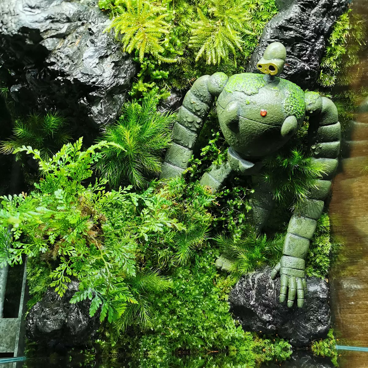テラリウム 和景 Kazunori（深沢種苗園芸） お客様から、このフィギュアを使った