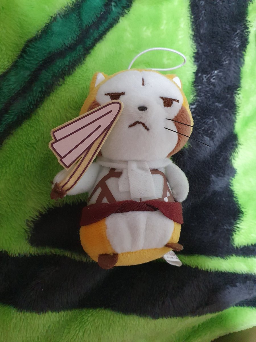ツルツルクマ🐻bunegom2D🐻부내곰 tweet media