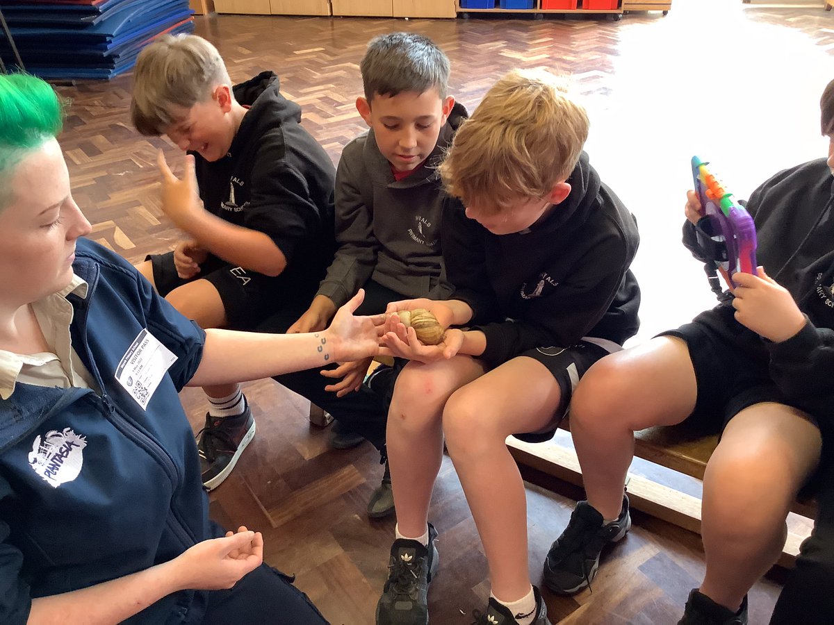 MayalsSchool's tweet photo. Year 6 had a brilliant memorable experience with @Plantasia6 visiting to launch our new topic ‘Darwin’s Delights’.#MayHum #Maycommunity https://t.co/eQivFrLf7k