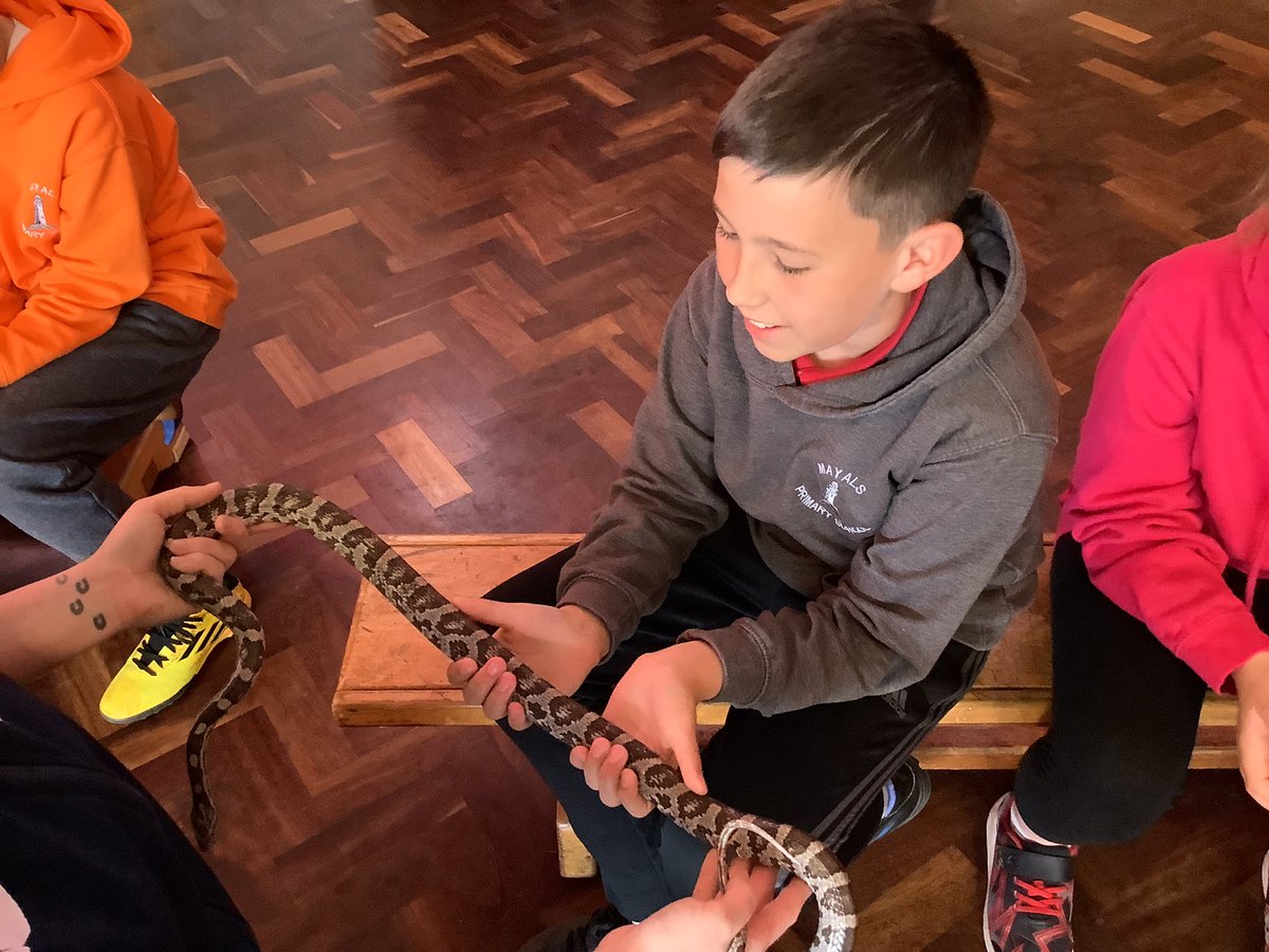 MayalsSchool's tweet photo. Year 6 had a brilliant memorable experience with @Plantasia6 visiting to launch our new topic ‘Darwin’s Delights’.#MayHum #Maycommunity https://t.co/eQivFrLf7k
