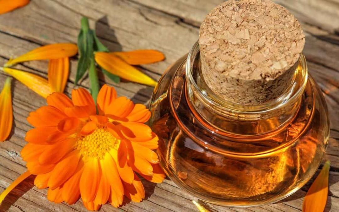 FitnessHealthF1's tweet photo. Steps to make your own calendula oil at home
https://t.co/P9YPshsEXZ
#calendulaoil #fitness #health https://t.co/IBELUyVxbM