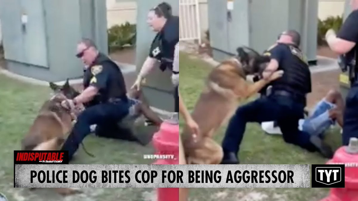womenbaseball1's tweet photo. Hope this makes you smile. Police dog bites cop after cop throws guy on the ground. https://t.co/xp22NV1LBw